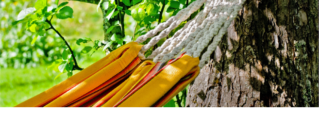 Slide background